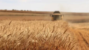Superior uptake in broadacre nutrition