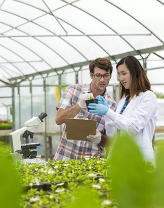 Soil Health Management
